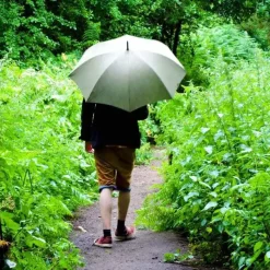 UV Protection Walking Umbrellas|Mens Walking Umbrellas-Umbrella Heaven High Quality Walking Umbrella Green