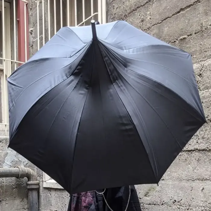 Special Offers|Special Offer-Umbrella Heaven Ladies Classic Black Pagoda Umbrella – the “Parisian Parasol”