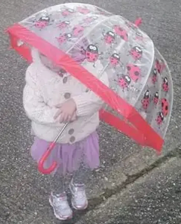Kids Dome Umbrella|Boys Umbrellas-Umbrella Heaven LADYBIRD PVC Kids Umbrella